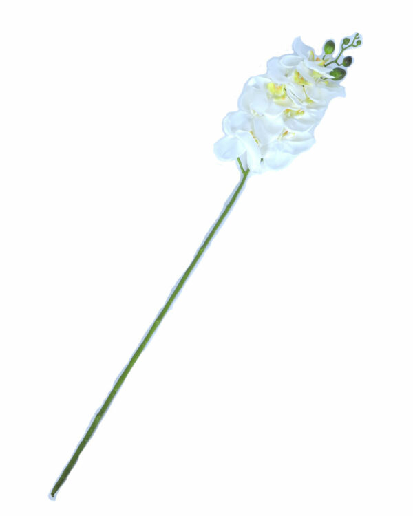 Orkidea valkoinen n. 100 cm