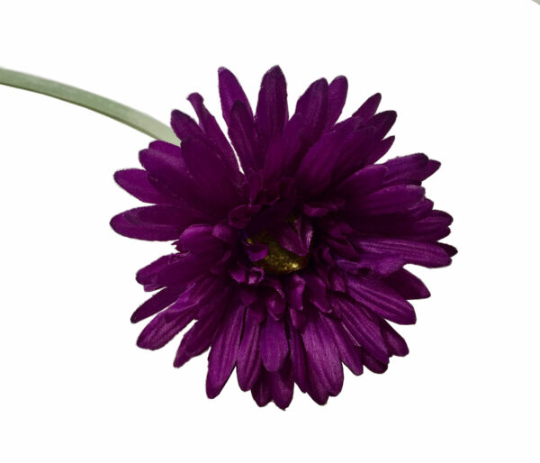 Gerbera lila 45 cm