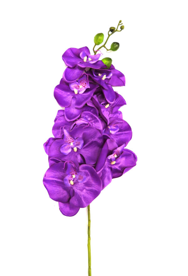 Orkidea tumma lila n. 100 cm